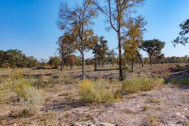 a view of yard with trees