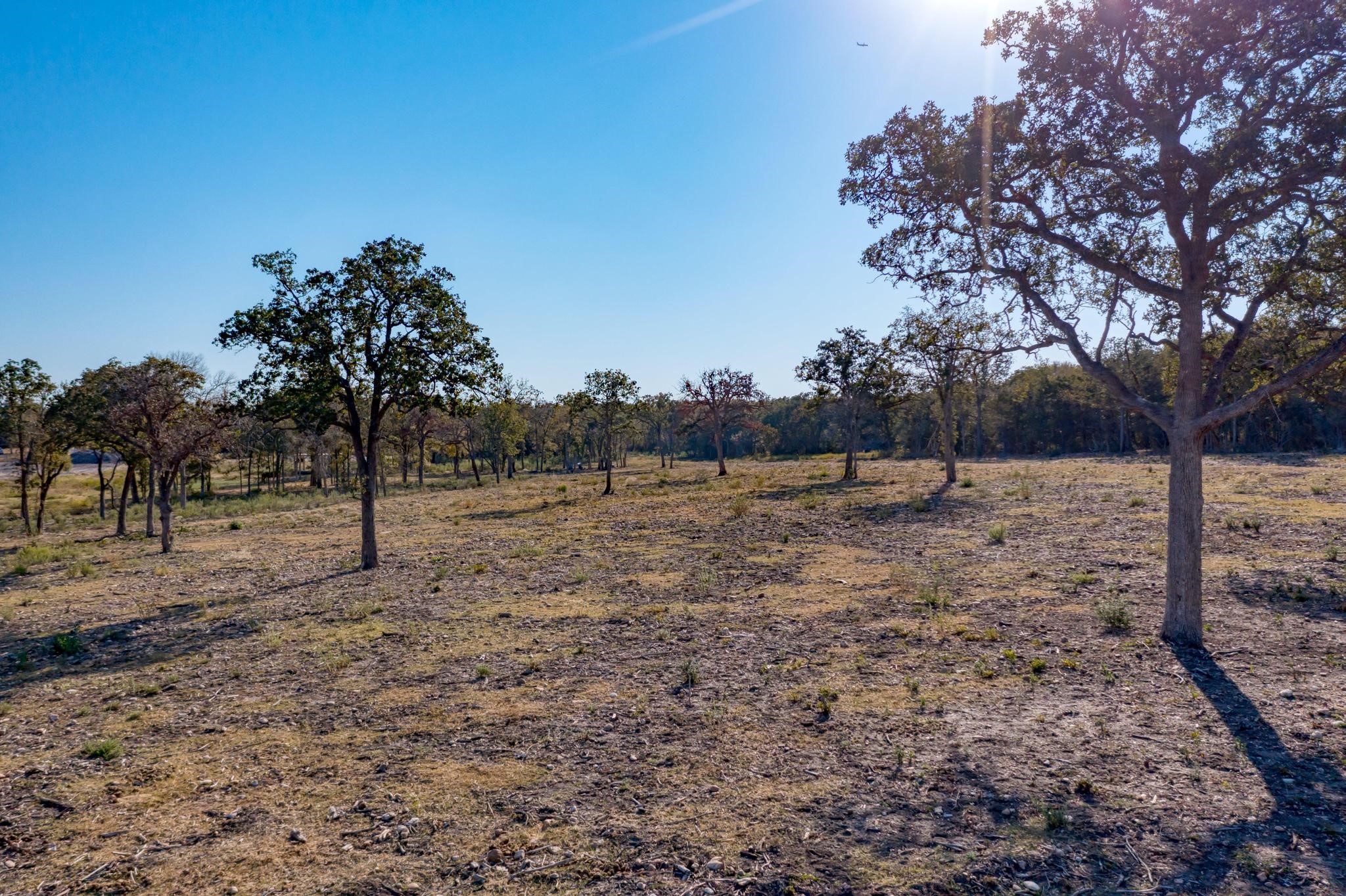 9202 Lockwood Springs Road Manor, TX 78653 - Photo 7 of 27 a view of a yard with trees
