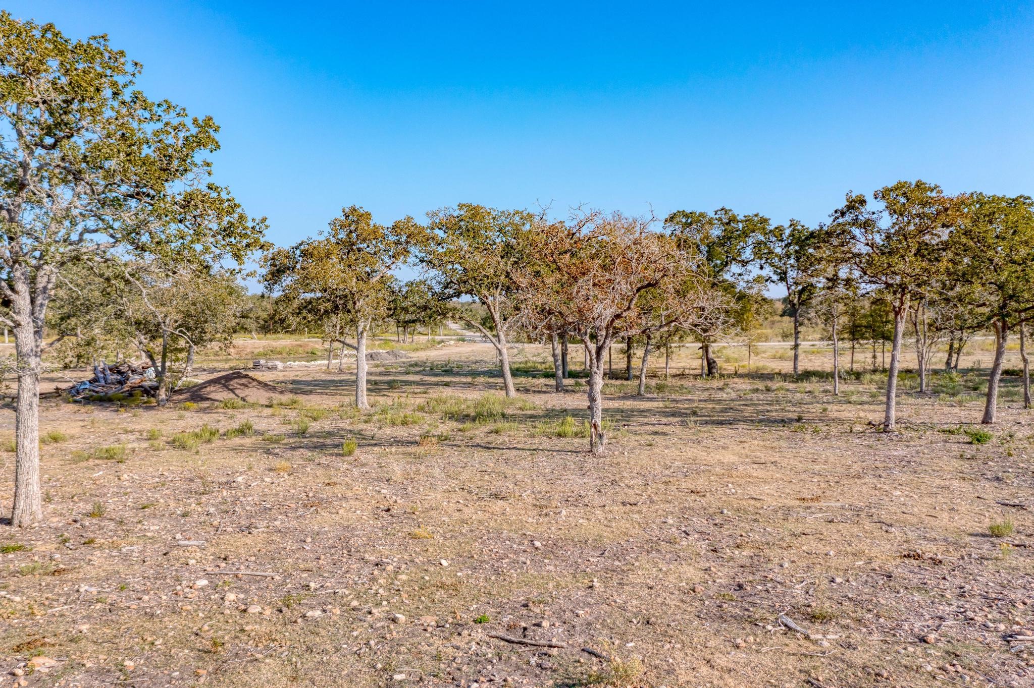 9202 Lockwood Springs Road Manor, TX 78653 - Photo 8 of 27 a view of dirt yard with a large tree