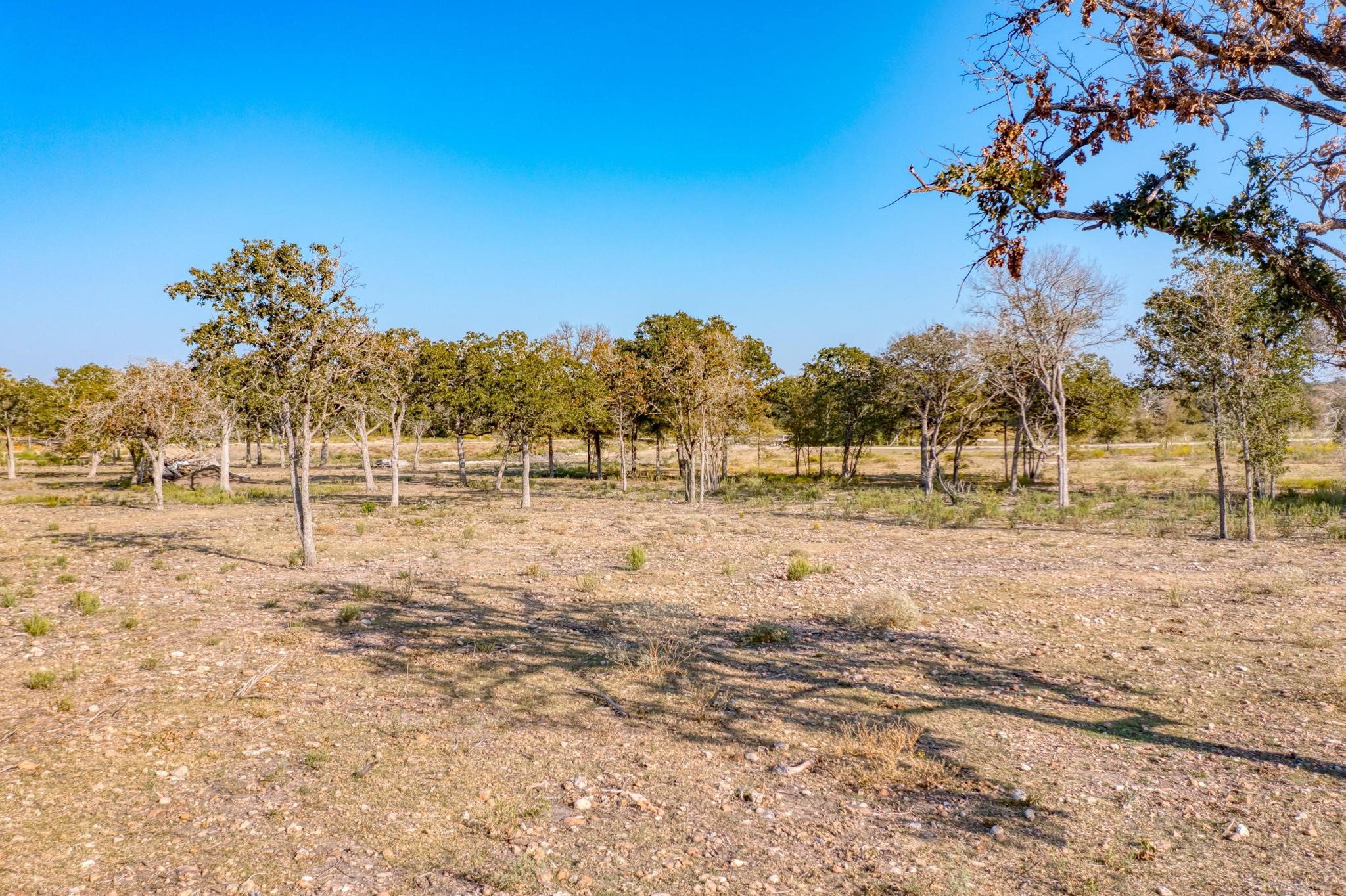 9202 Lockwood Springs Road Manor, TX 78653 - Photo 9 of 27 a view of a yard