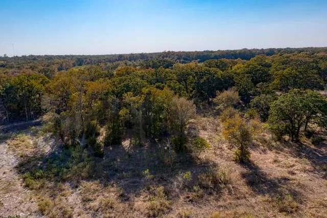 a view of a forest with a forest