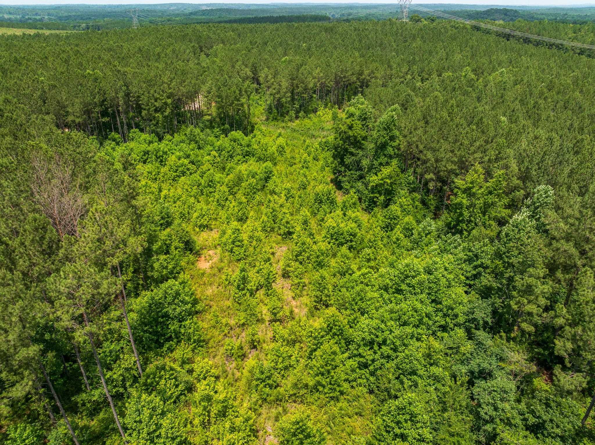 1 Quail Hollow Road Sharon, SC 29742 - Photo 7 of 27