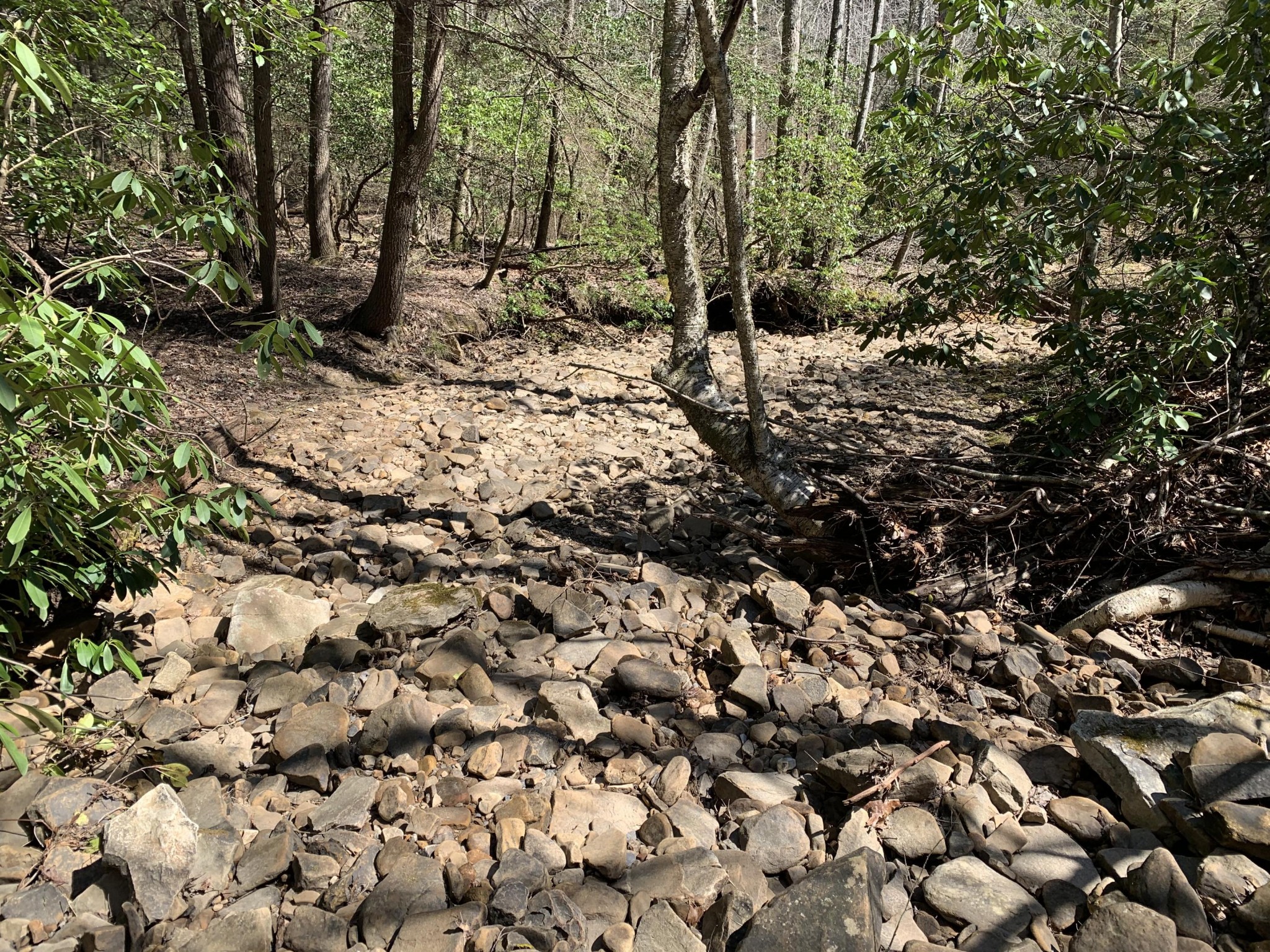 0 Robertson Fork Road Dunlap, TN 37327 - Photo 2 of 8 Gallery Image 2
