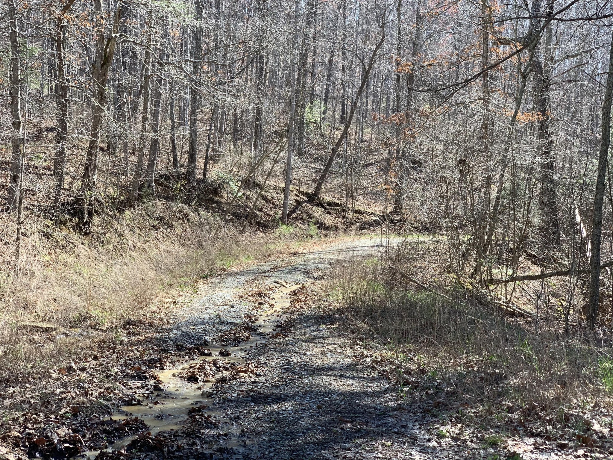 0 Robertson Fork Road Dunlap, TN 37327 - Photo 5 of 8 Gallery Image 5