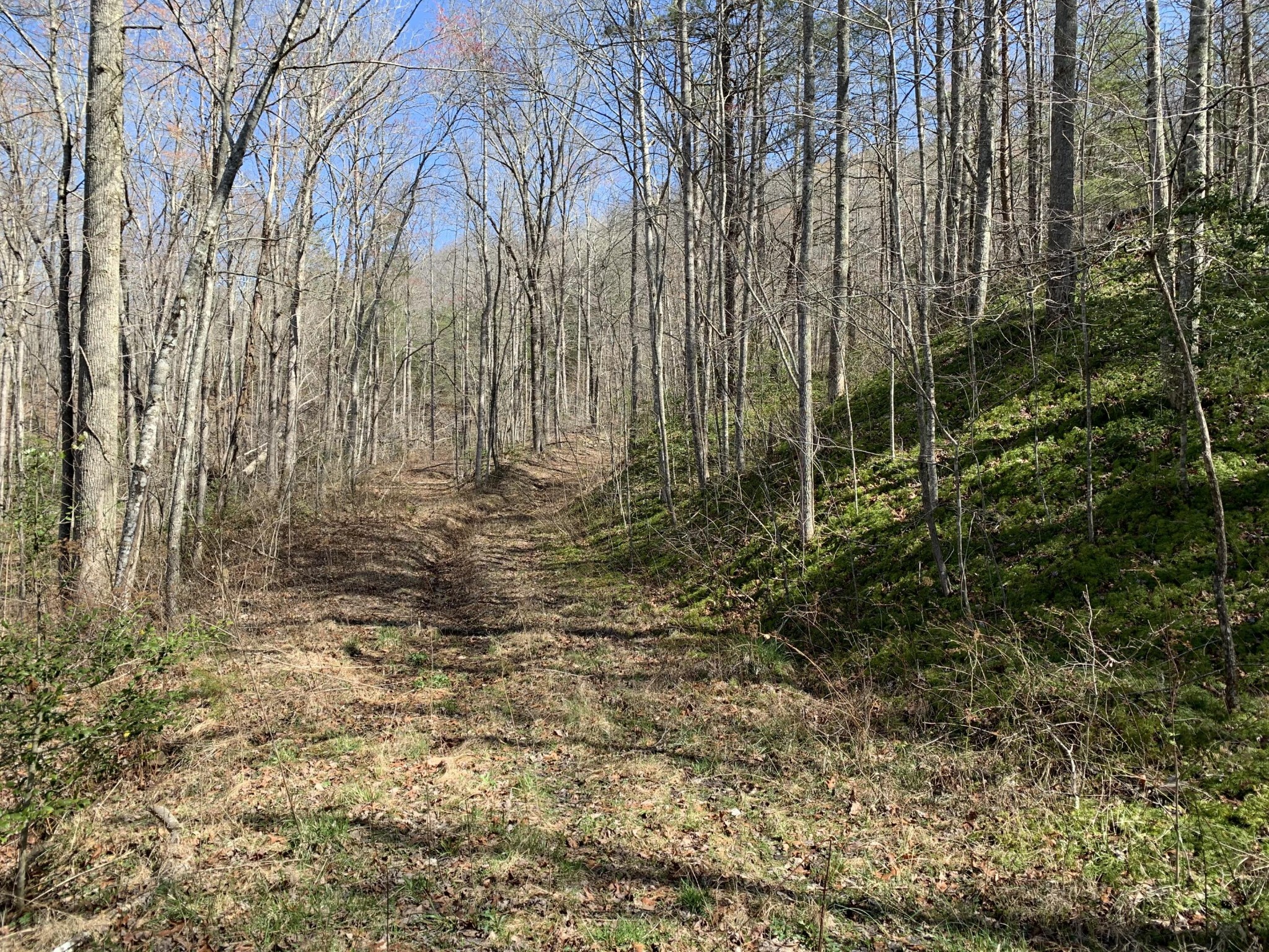 0 Robertson Fork Road Dunlap, TN 37327 - Photo 6 of 8 Gallery Image 6