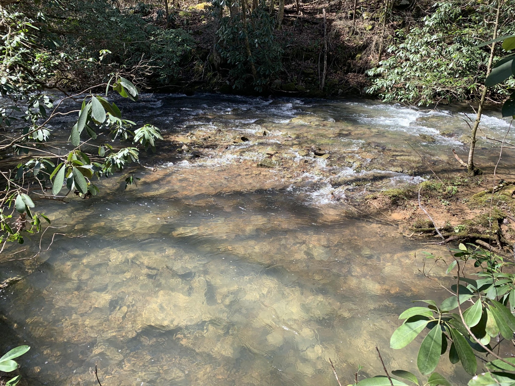 0 Robertson Fork Road Dunlap, TN 37327 - Photo 8 of 8 Gallery Image 8