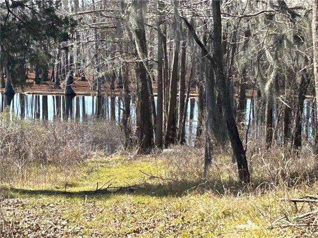 533 Stumps Camp Road Winnfield, LA 71483 - Photo 10 of 10