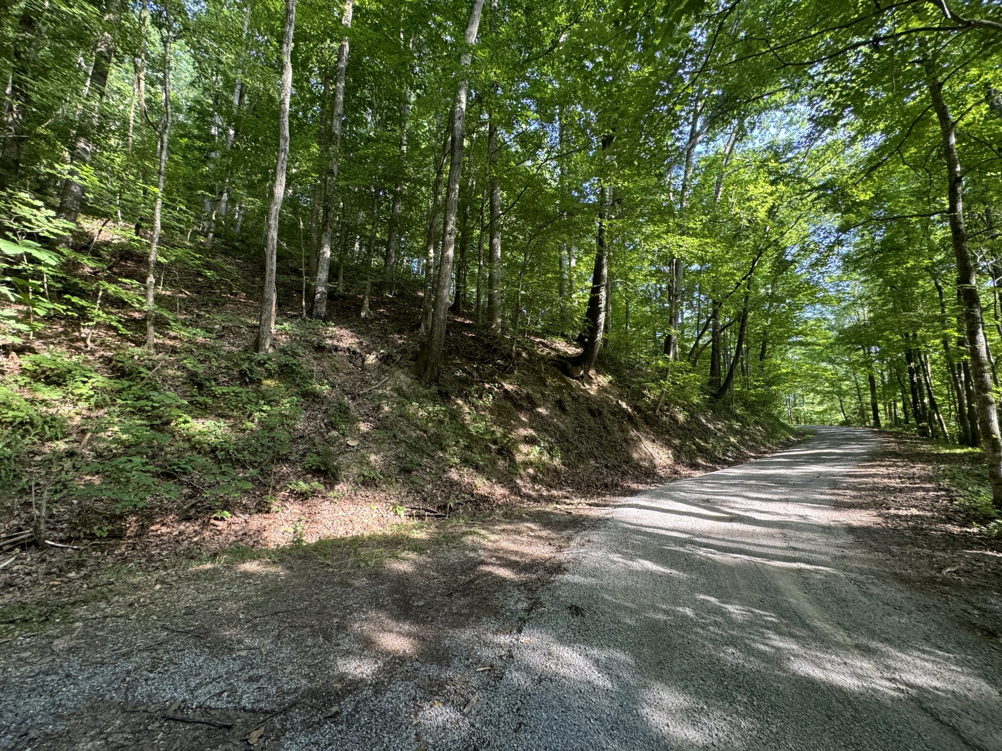 1 Love Colony Road Smithville, TN 37166 - Photo 11 of 13 a view of backyard with green space