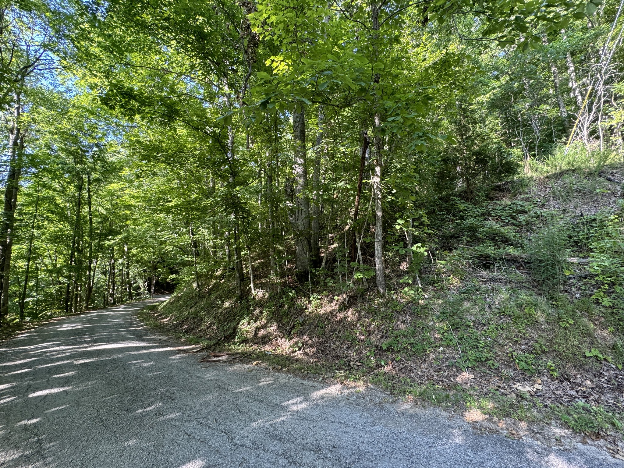 1 Love Colony Road Smithville, TN 37166 - Photo 12 of 13 a view of a forest with trees in the background
