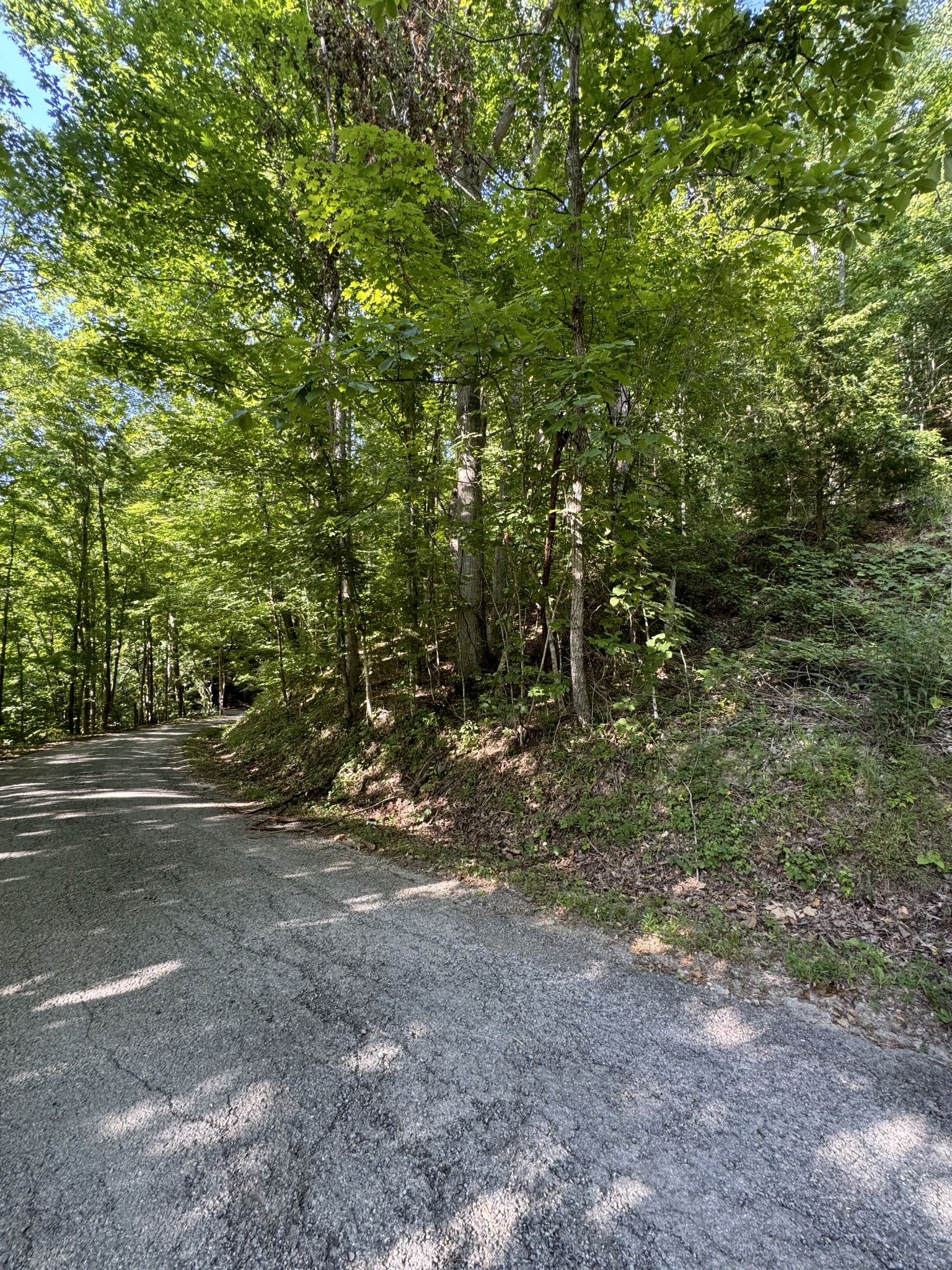 1 Love Colony Road Smithville, TN 37166 - Photo 6 of 13 a view of a field with lots of bushes