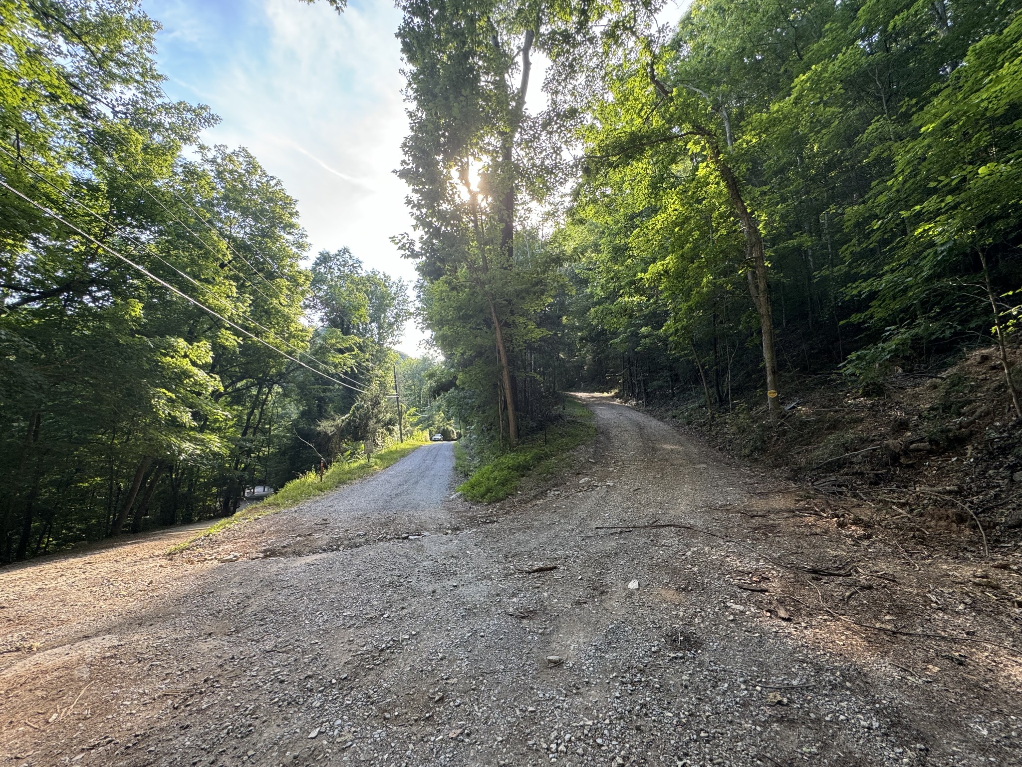 1 Love Colony Road Smithville, TN 37166 - Photo 8 of 13 a view of a forest with trees in the background