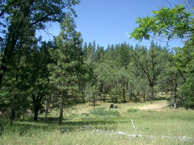 14 Dickerson Road Whitmore, CA 96096 - Photo 1 of 4 Clear Clean Building Sites