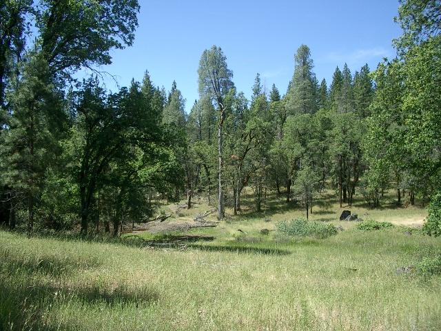 14 Dickerson Road Whitmore, CA 96096 - Photo 2 of 4 Pristine with Oaks and Pines