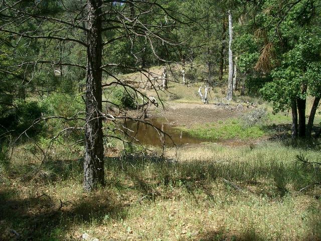 14 Dickerson Road Whitmore, CA 96096 - Photo 4 of 4 Pond in June...Full in May