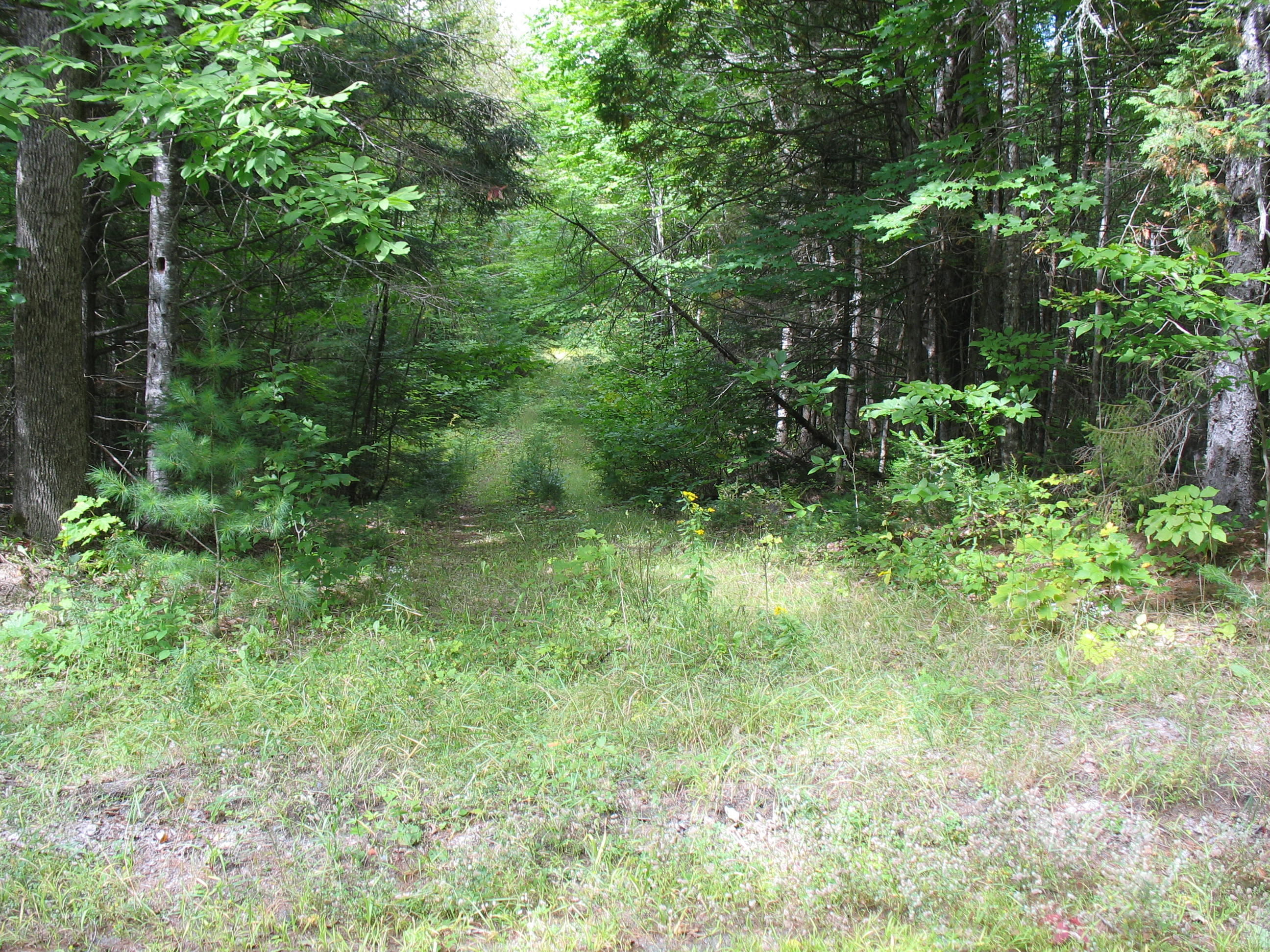 Wharff rd 003