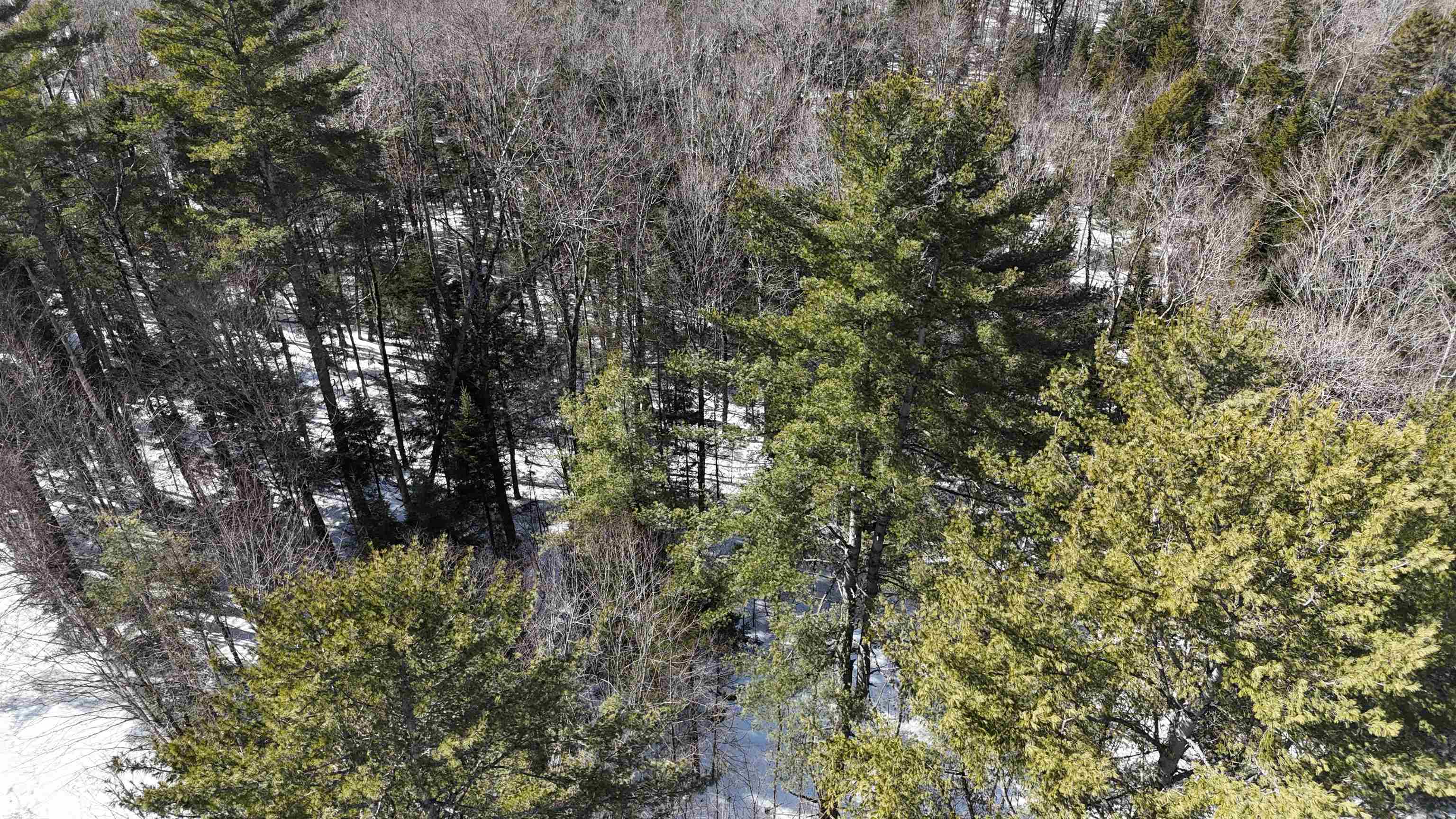 0 Mountain Road East Burke, VT 05832 - Photo 12 of 18