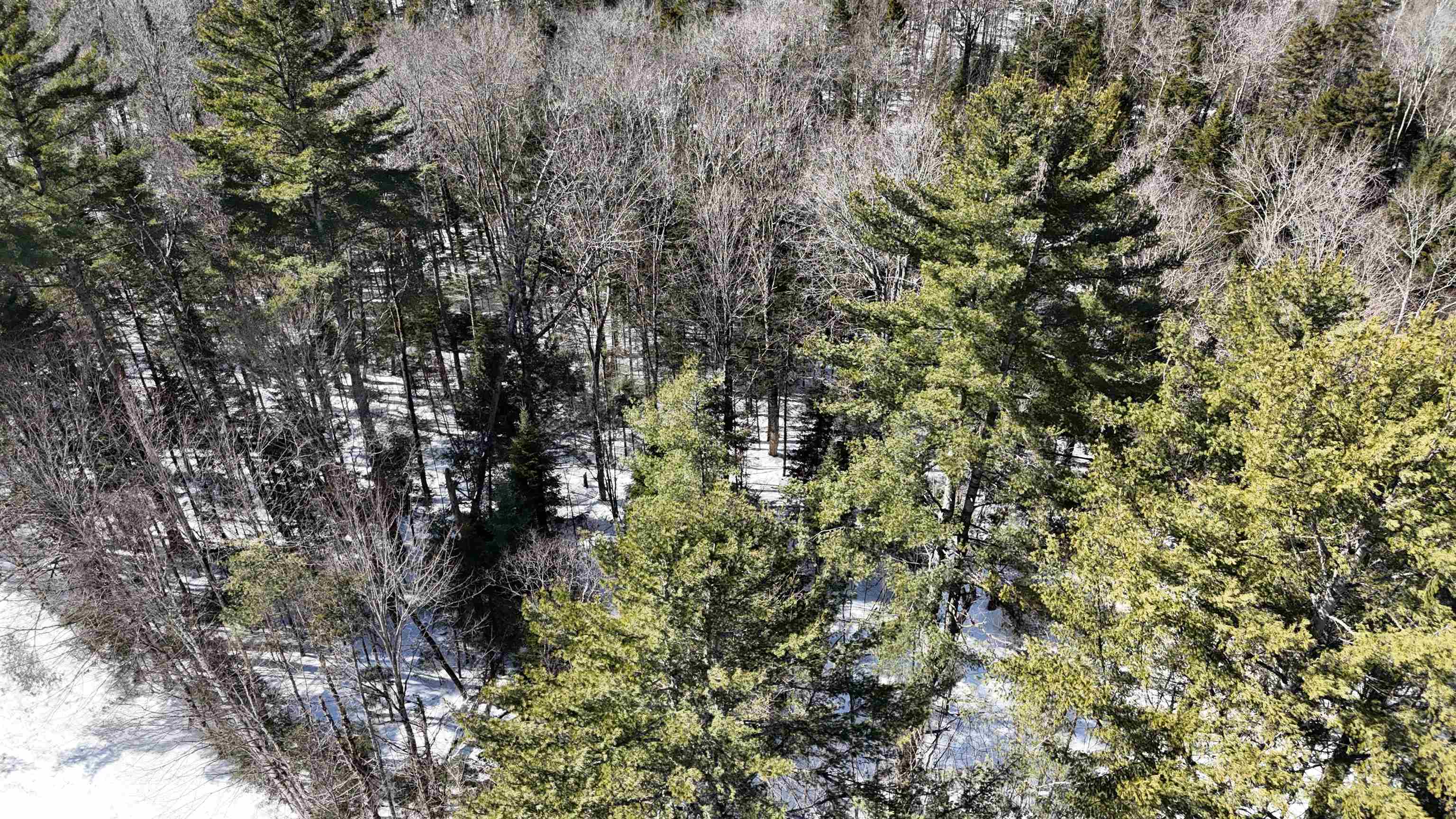 0 Mountain Road East Burke, VT 05832 - Photo 17 of 18