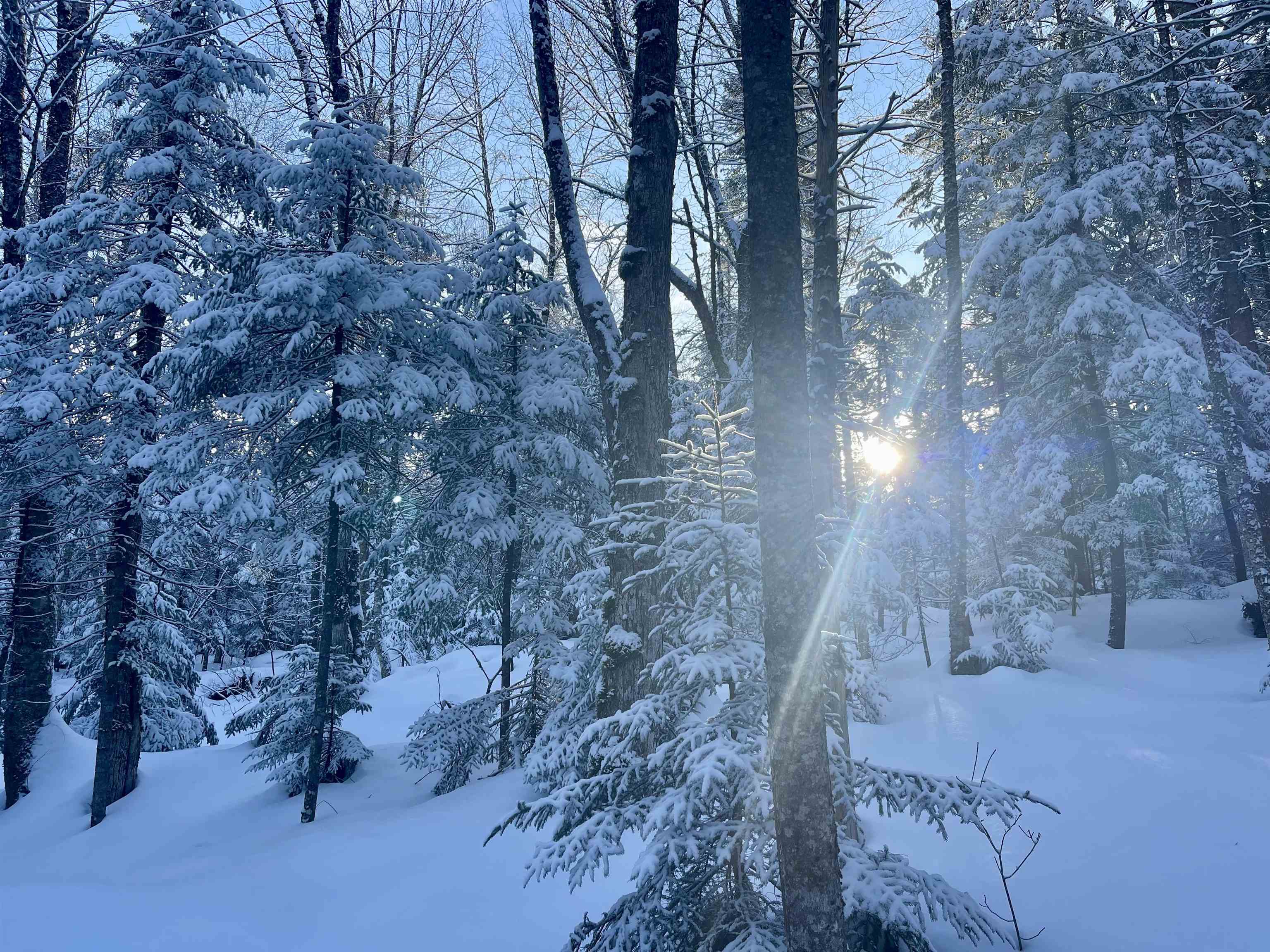 0 Mountain Road East Burke, VT 05832 - Photo 2 of 18