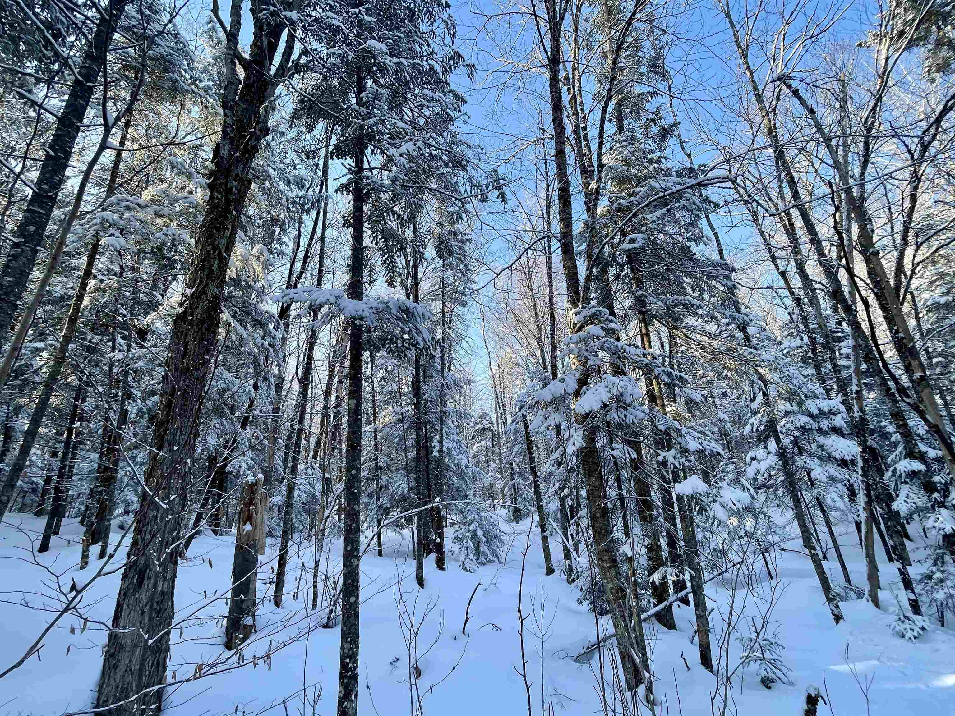 0 Mountain Road East Burke, VT 05832 - Photo 4 of 18