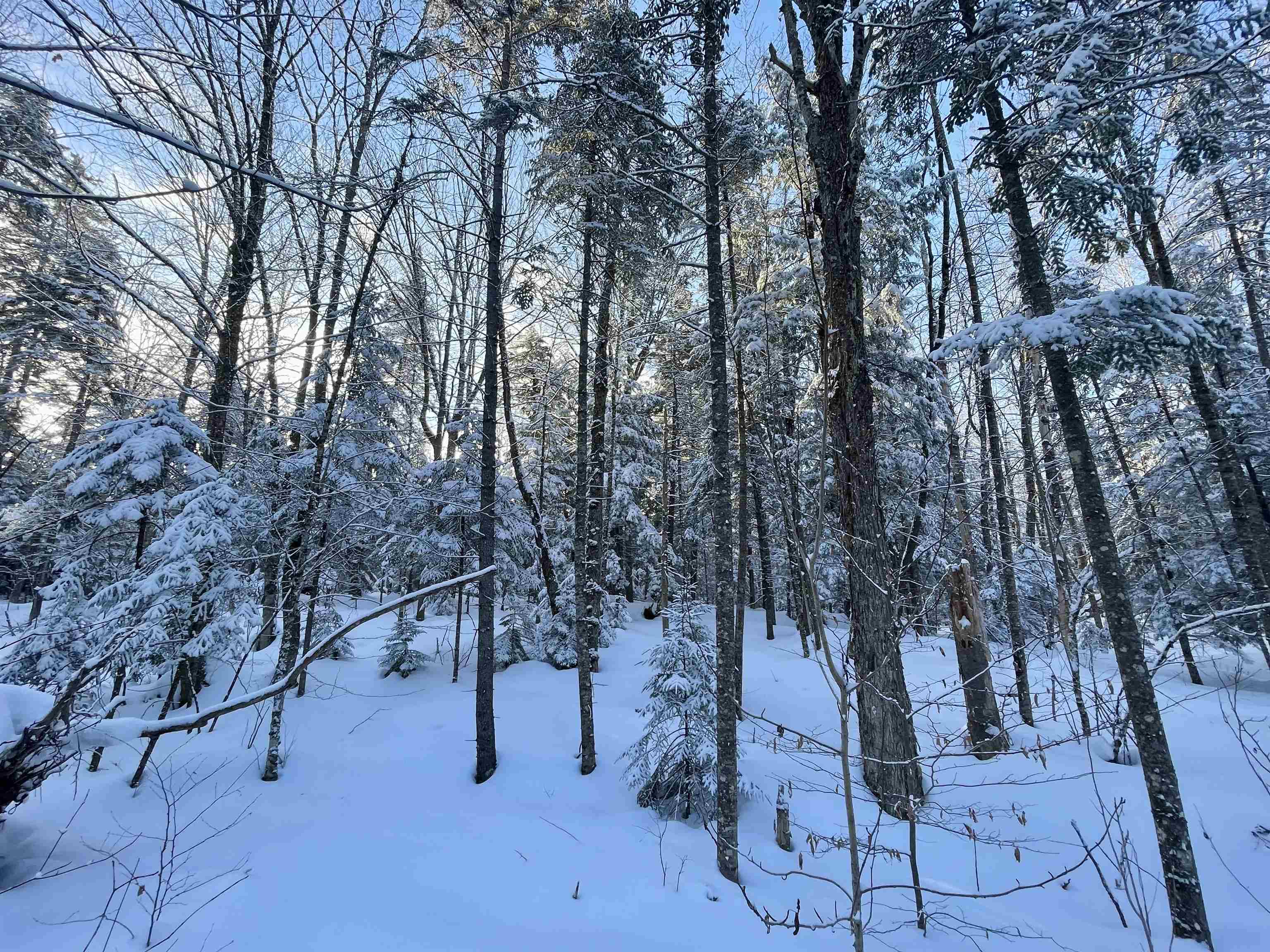 0 Mountain Road East Burke, VT 05832 - Photo 5 of 18