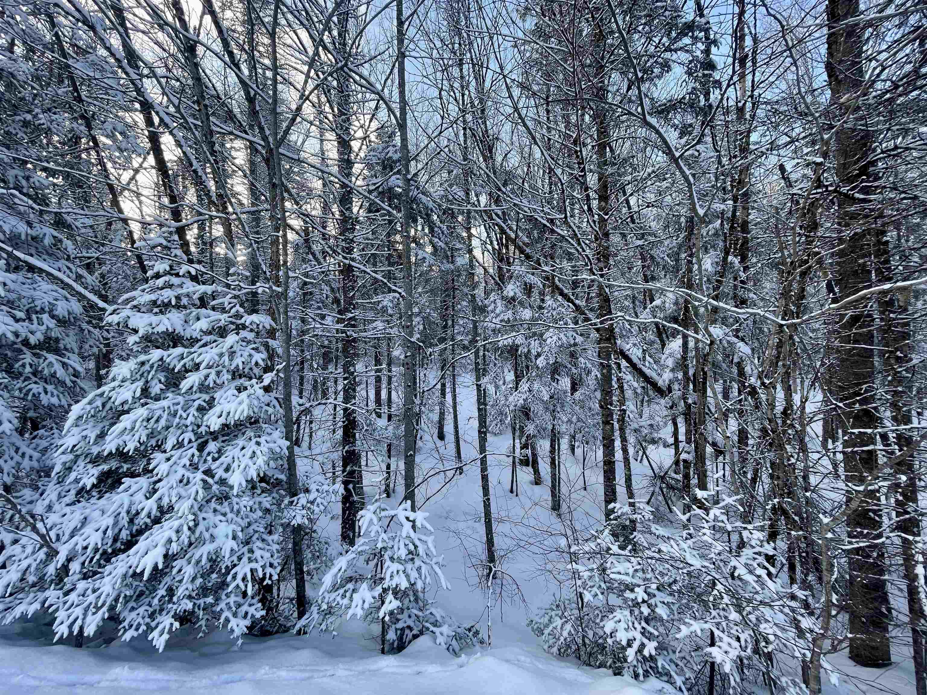0 Mountain Road East Burke, VT 05832 - Photo 6 of 18