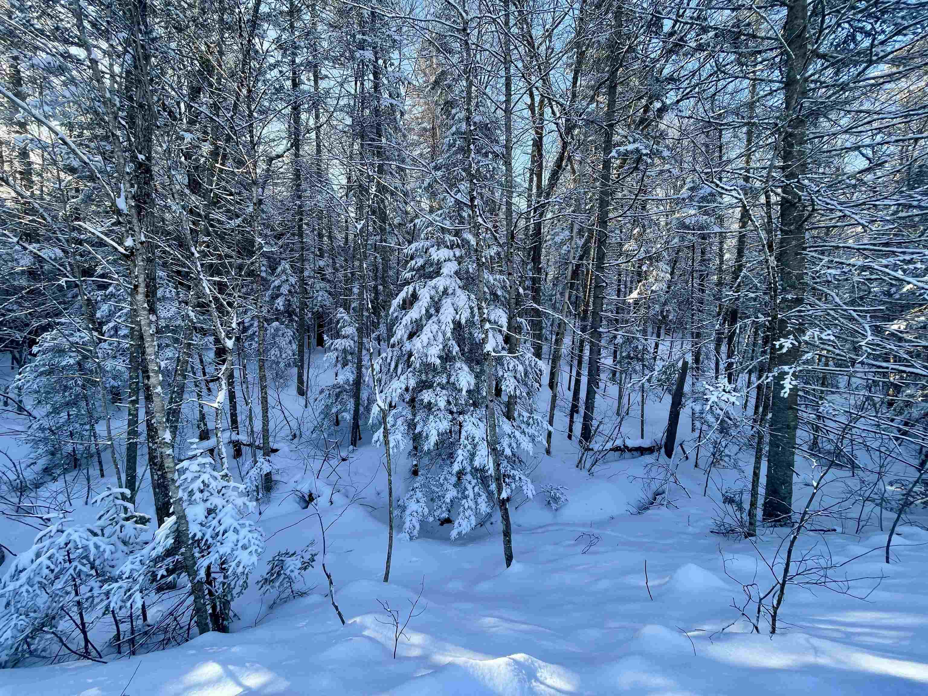 0 Mountain Road East Burke, VT 05832 - Photo 8 of 18