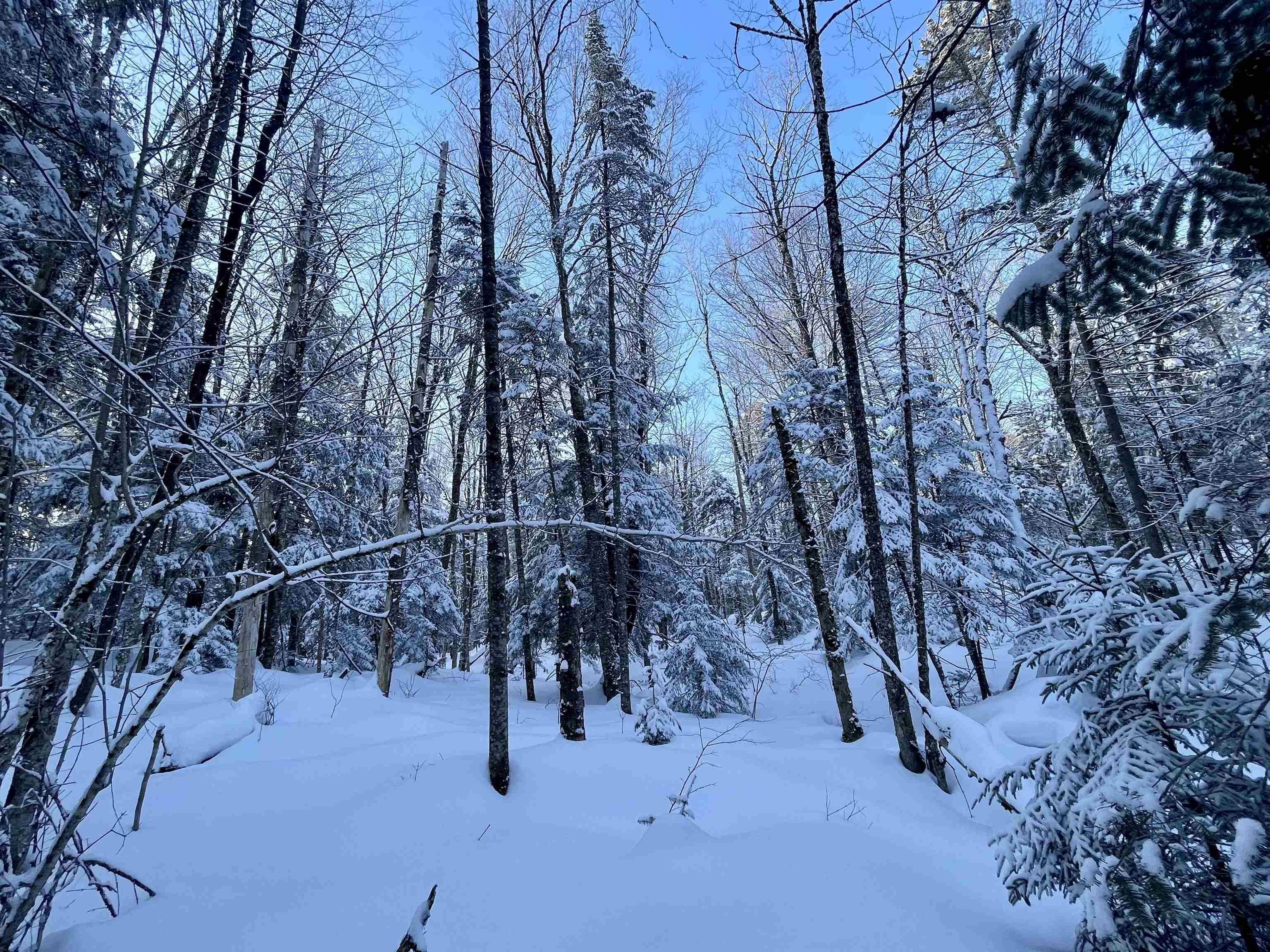 0 Mountain Road East Burke, VT 05832 - Photo 9 of 18