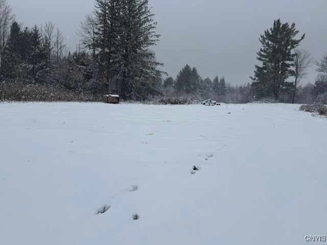 5389 Rome-New London Road Rome, NY 13440 - Photo 3 of 3