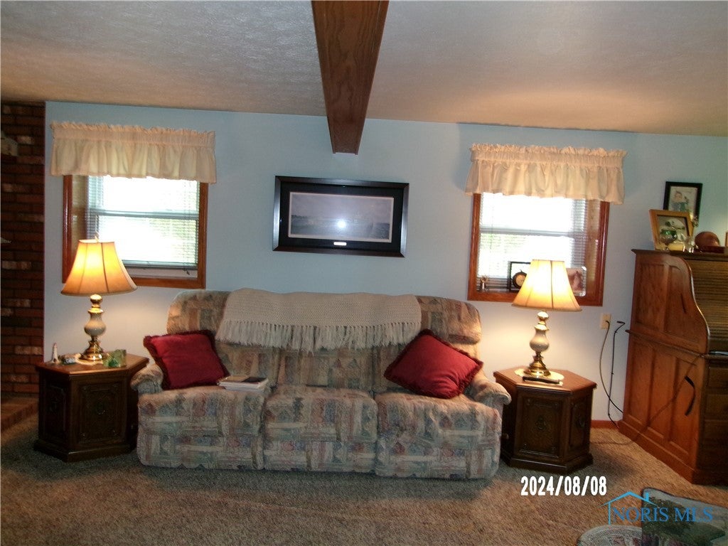 7004 Parker Road Castalia, OH 44824 - Photo 19 of 47 Gallery Image 19
