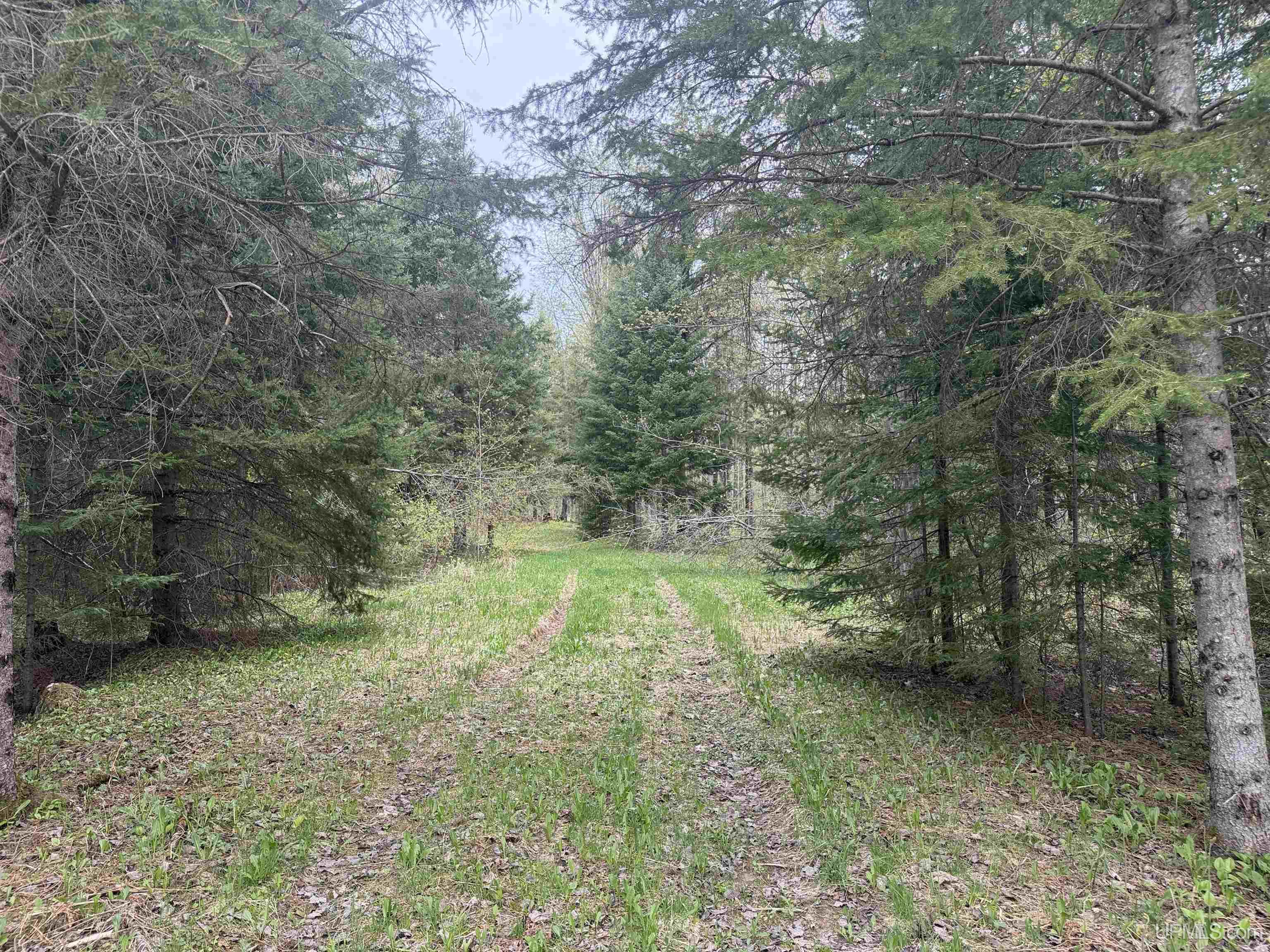 Tbd Lake Road Ironwood, MI 49938 - Photo 3 of 31