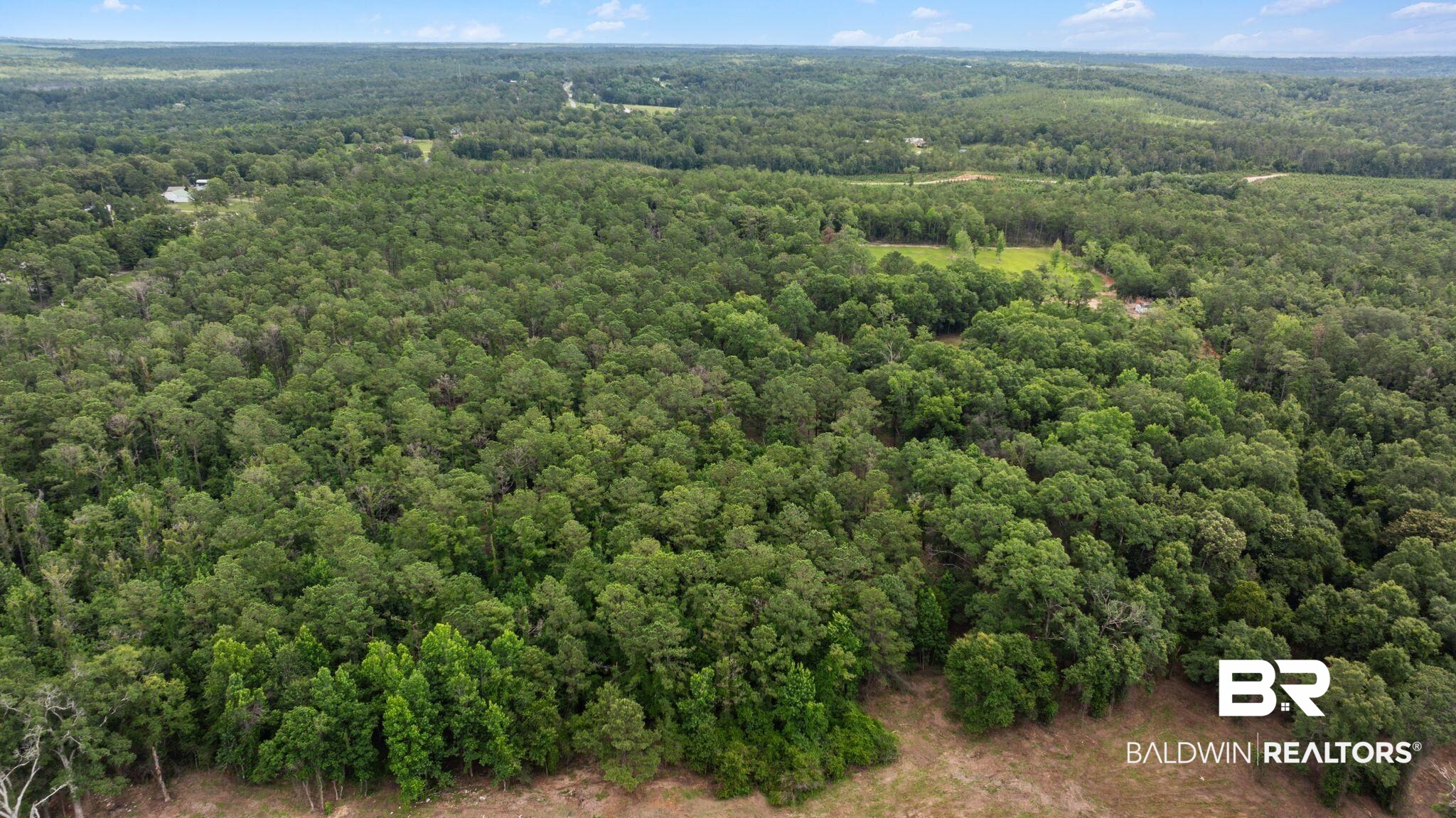 0 Hurricane Road Bay Minette, AL 36507 - Photo 24 of 30