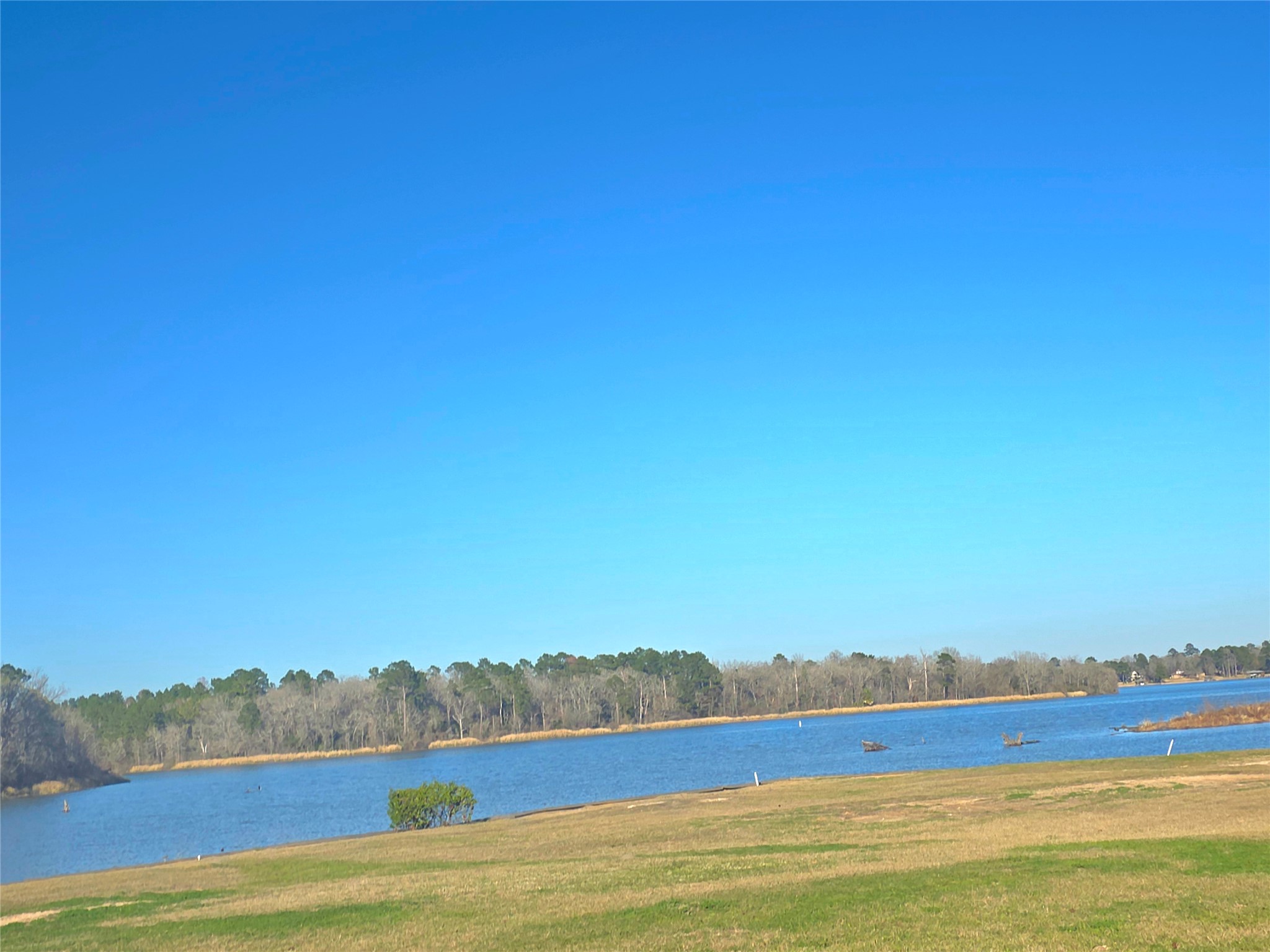 22468 Pebble Beach Way Point Blank, TX 77364 - Photo 16 of 22