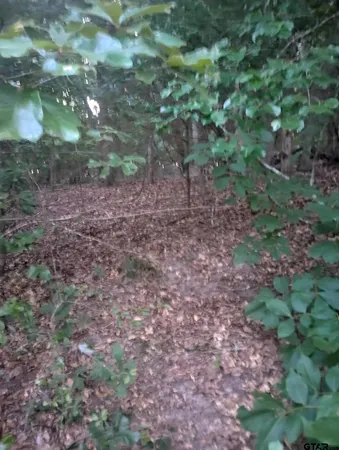 $16,000 | 0 Wildwood, Murchison, TX 75778