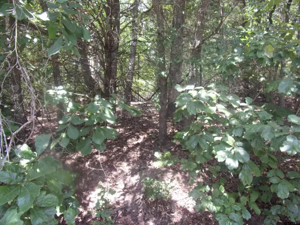 $16,000 | 0 Wildwood, Murchison, TX 75778