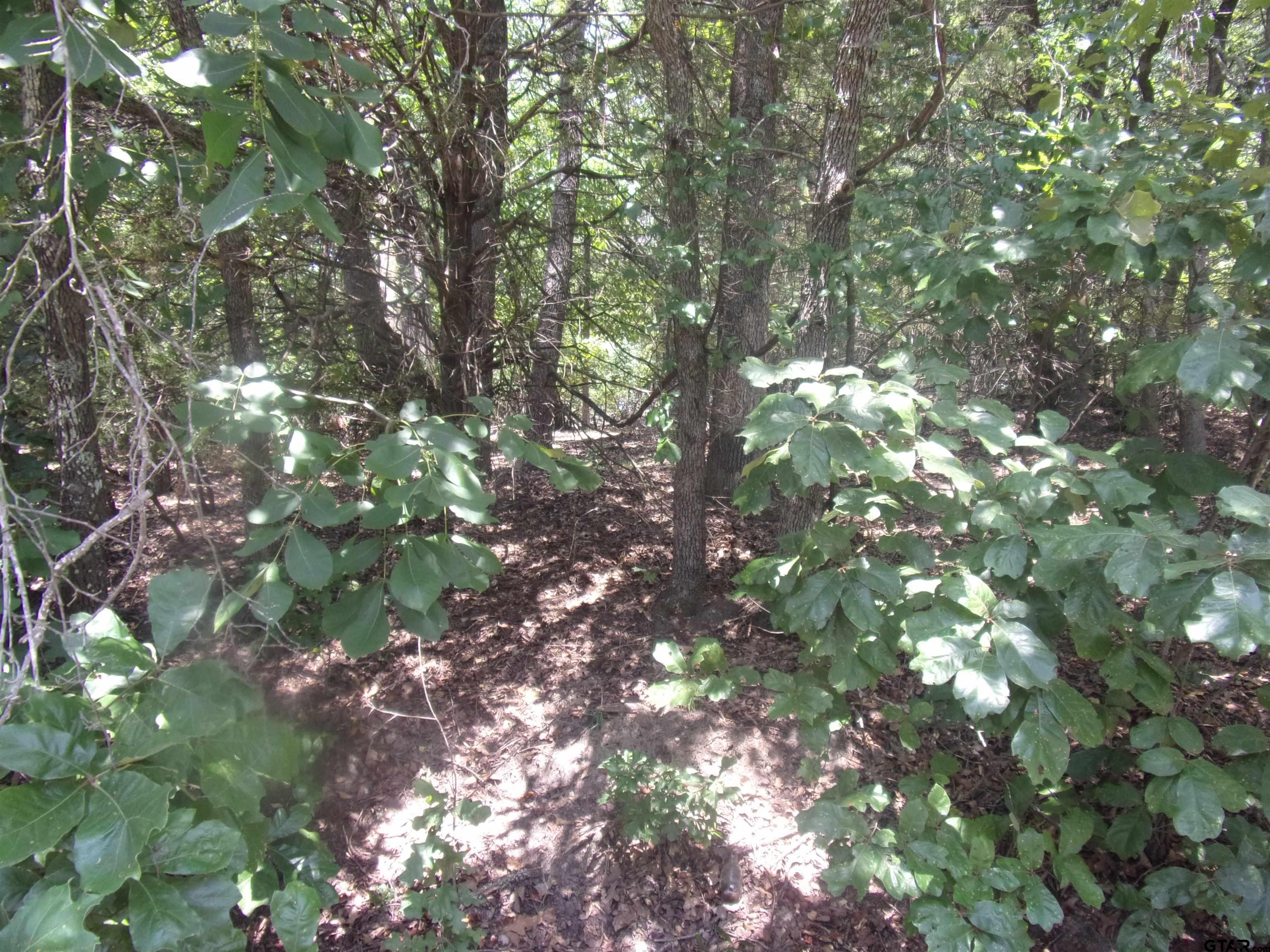 0 Wildwood Murchison, TX 75778 - Photo 3 of 8