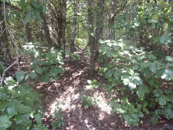 $16,000 | 0 Wildwood, Murchison, TX 75778