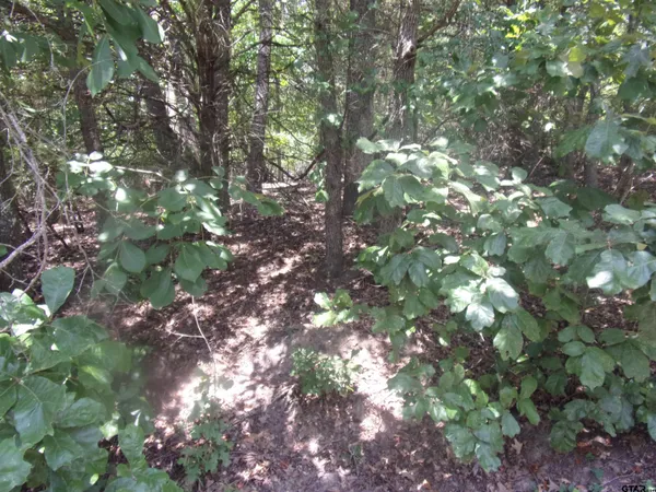 $16,000 | 0 Wildwood, Murchison, TX 75778