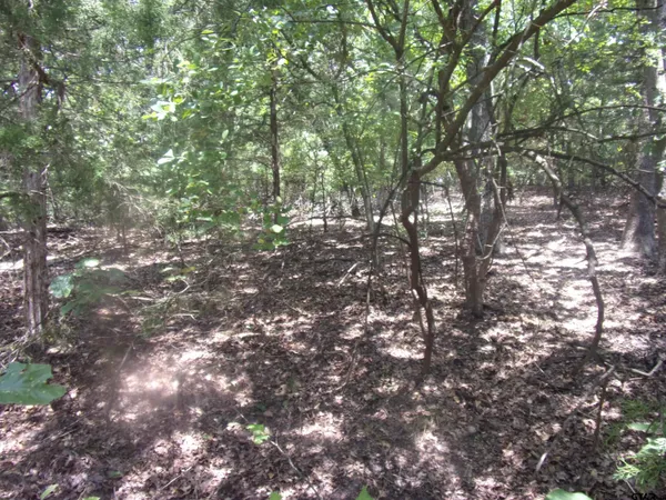 $16,000 | 0 Wildwood, Murchison, TX 75778