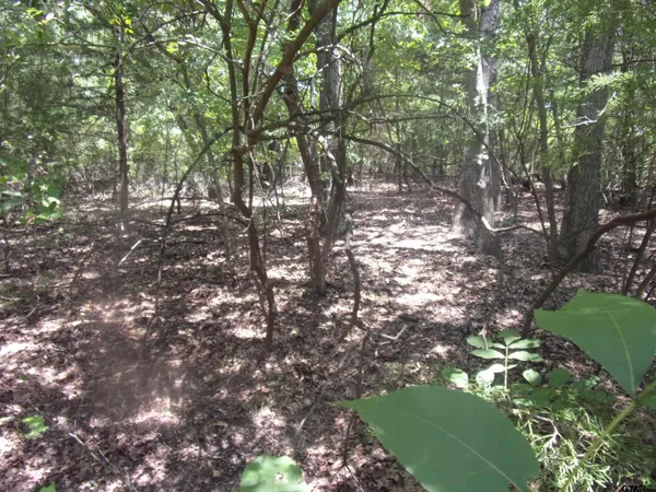 $16,000 | 0 Wildwood, Murchison, TX 75778