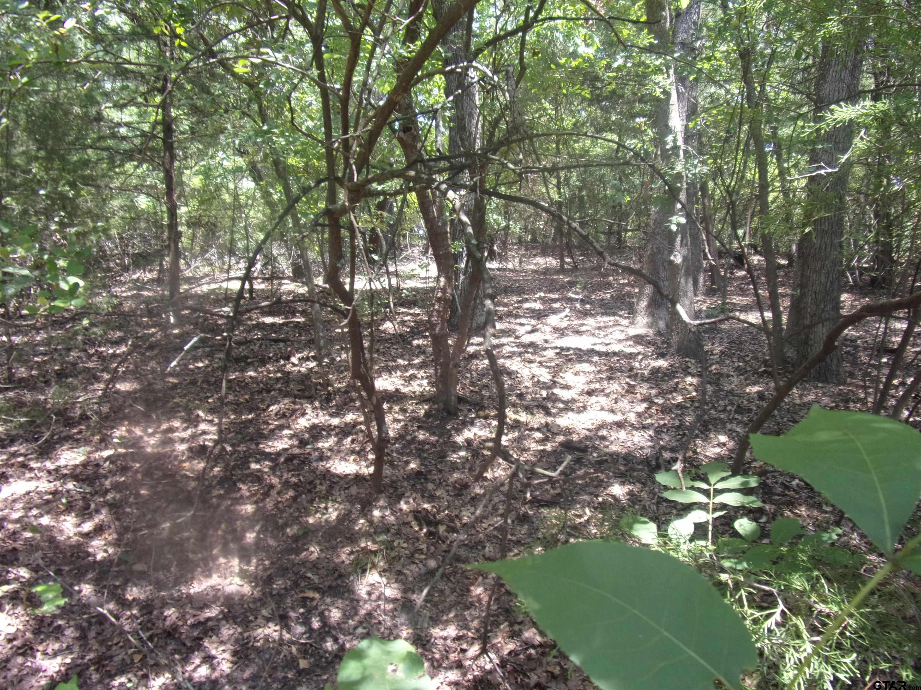 0 Wildwood Murchison, TX 75778 - Photo 7 of 8