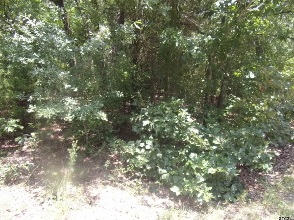 $16,000 | 0 Wildwood, Murchison, TX 75778