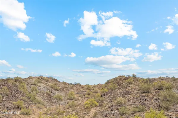 a view of a big yard