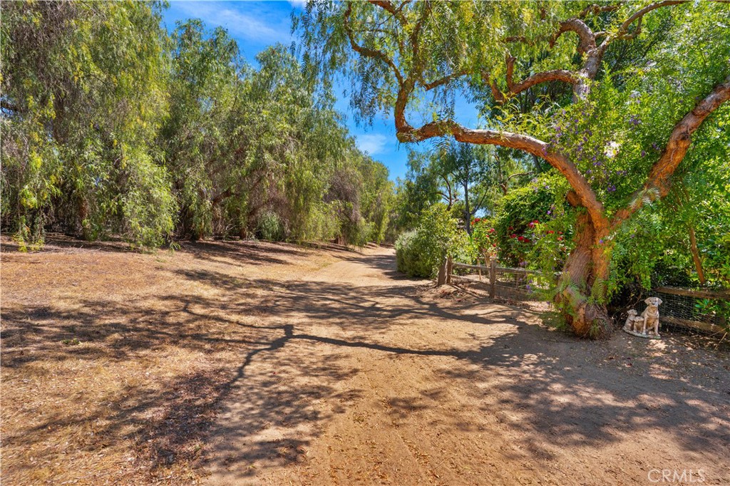 31625 Ano Crest Road Winchester, CA 92596 - Photo 72 of 82