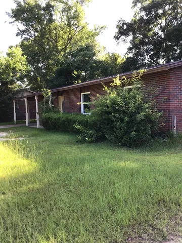 a view of a backyard with potted plants and large trees