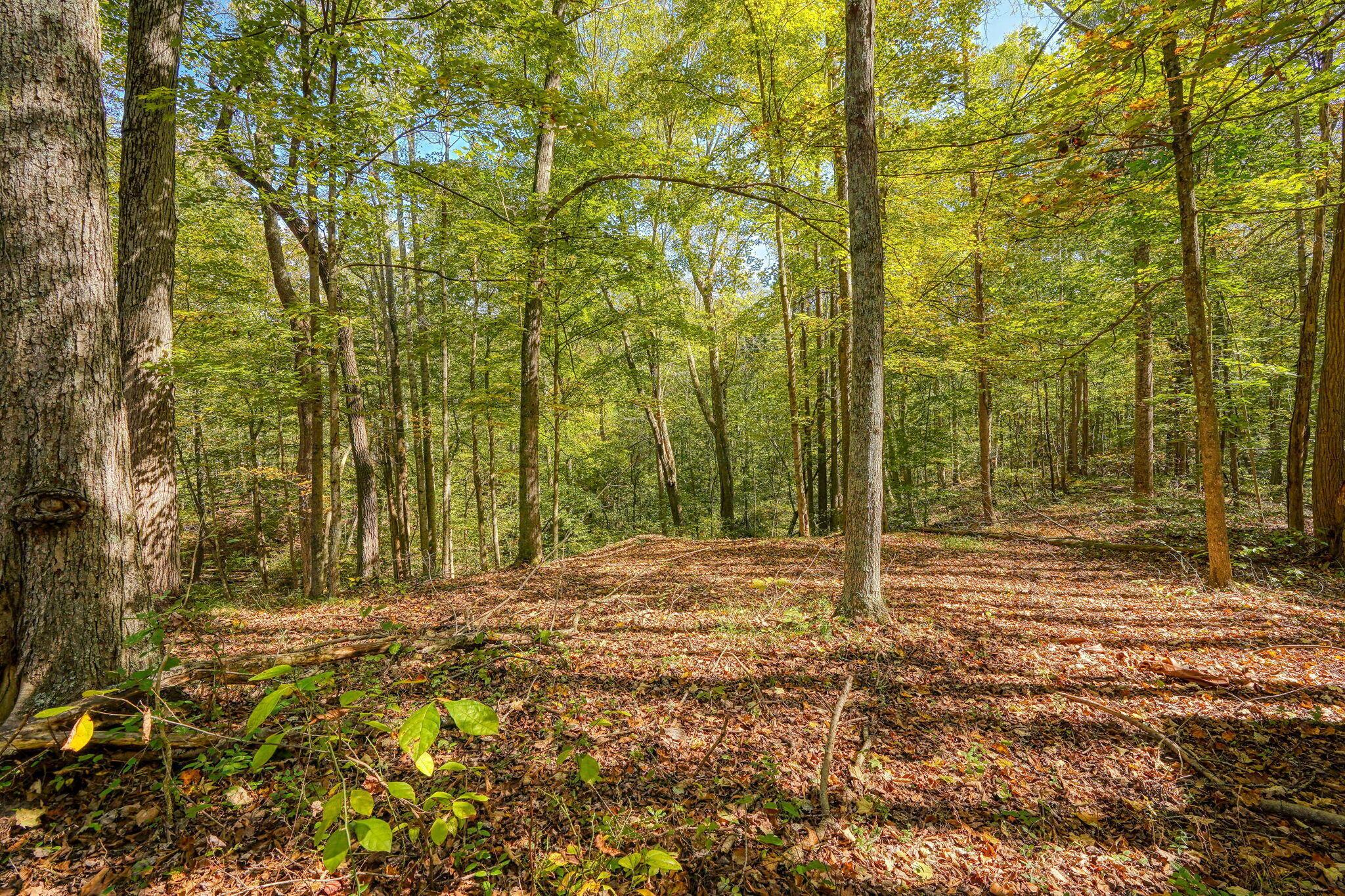 1408 Hanley Road Jackson, OH 45640 - Photo 54 of 54 52. Land (5)