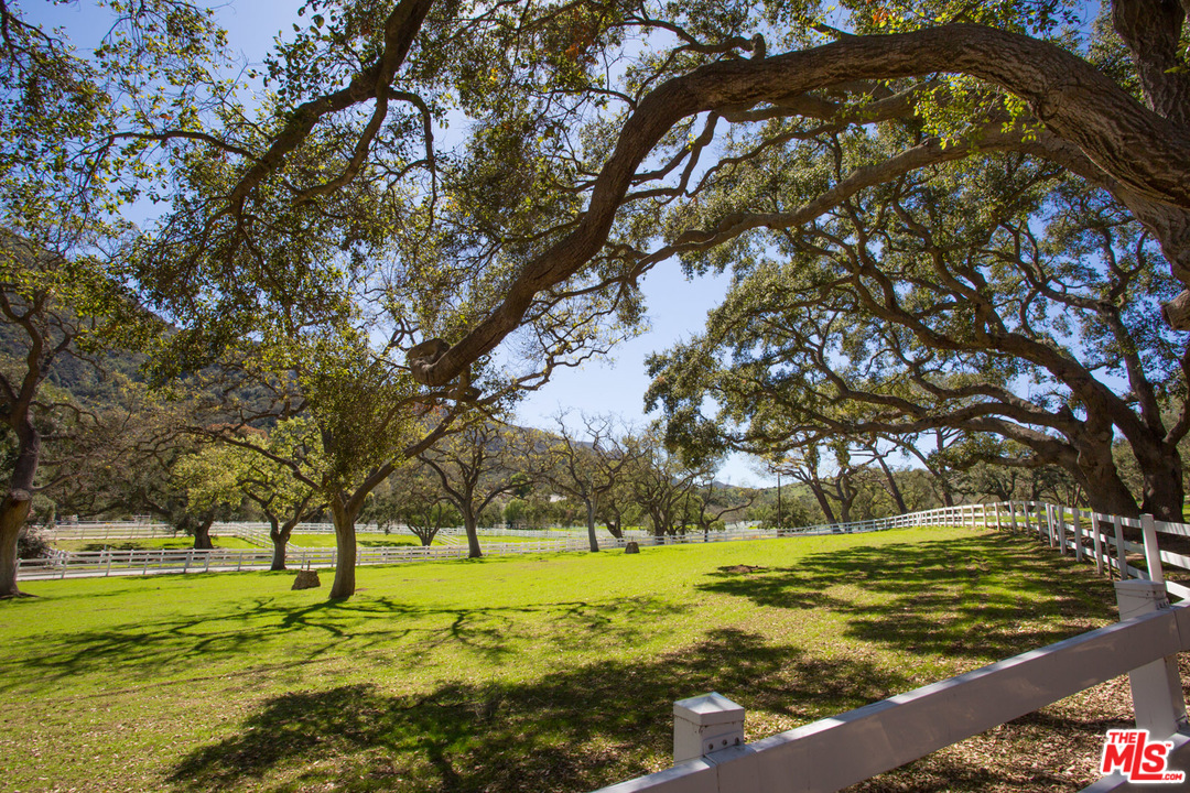 1753 Hidden Valley Road Thousand Oaks, CA 91361 - Photo 24 of 43 a view of a yard with a tree