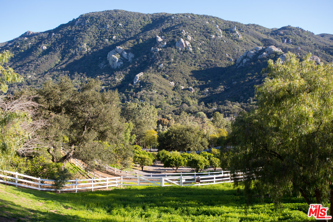 1753 Hidden Valley Road Thousand Oaks, CA 91361 - Photo 37 of 43 a view of a yard with a tree