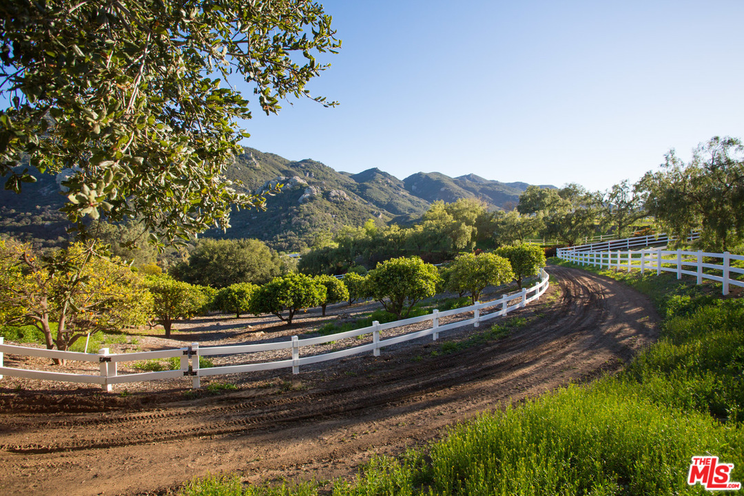 1753 Hidden Valley Road Thousand Oaks, CA 91361 - Photo 40 of 43 a view of a yard with an outdoor space
