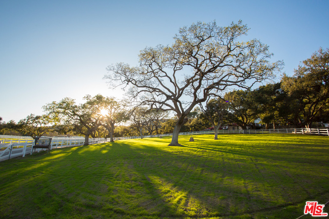 1753 Hidden Valley Road Thousand Oaks, CA 91361 - Photo 41 of 43 a view of a swimming pool with a yard
