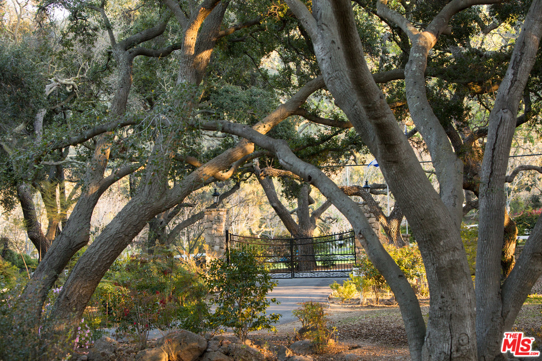 1753 Hidden Valley Road Thousand Oaks, CA 91361 - Photo 42 of 43 a view of tree sitting in a yard